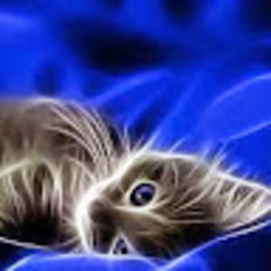 Meet your Posher, Damon